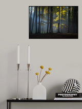 Foggy forest Poster och Canvastavla
