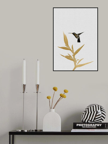 Hummingbird & Flower Ii Poster och Canvastavla
