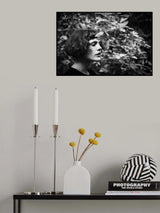Butterfly Poster och Canvastavla