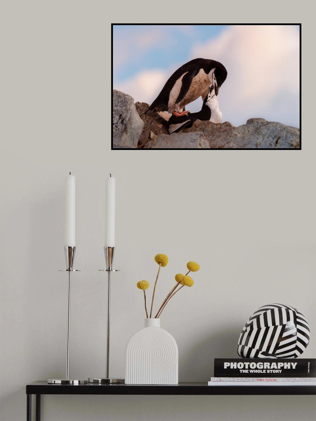 2 penguin's Poster och Canvastavla