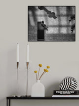 Birds view Poster och Canvastavla