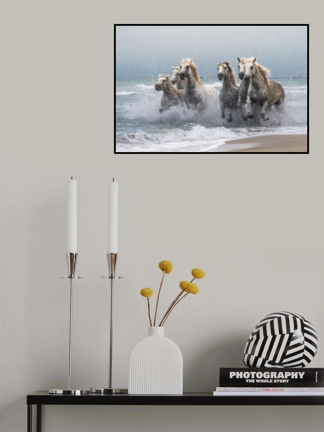 Wild horses Poster och Canvastavla