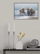 Wild horses Poster och Canvastavla