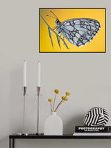Yellow Poster och Canvastavla