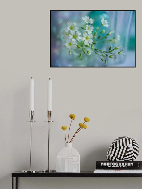 white spring Poster och Canvastavla