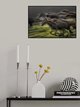In gallop Poster och Canvastavla