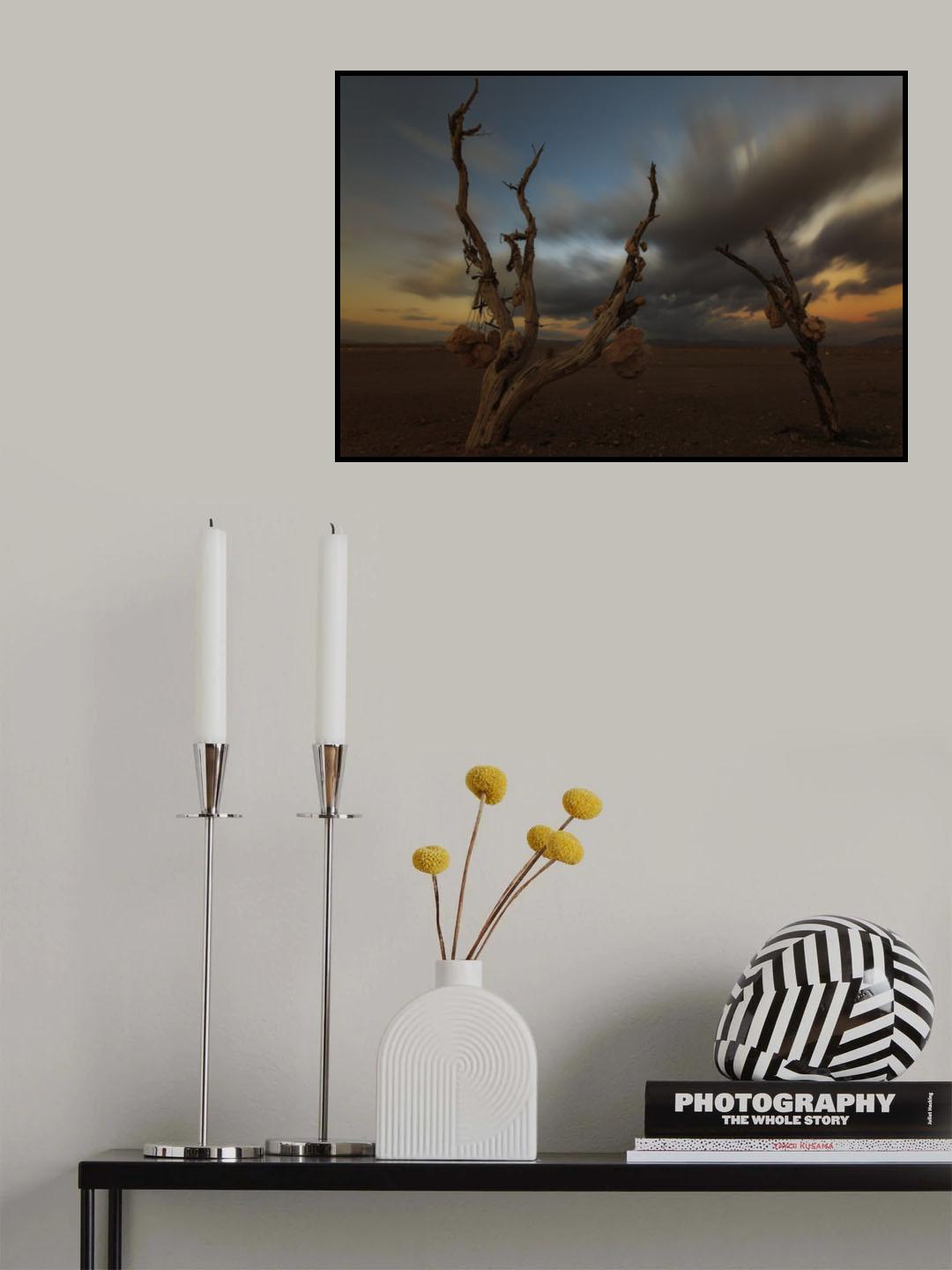 Stone Garden Poster och Canvastavla
