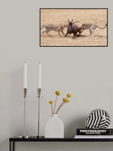 Hunting Poster och Canvastavla