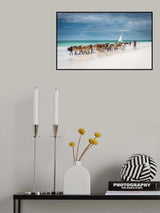 Masai cattle on Zanzibar beach Poster och Canvastavla