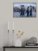 Let's go play Poster och Canvastavla