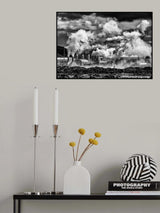 Black smoke Poster och Canvastavla