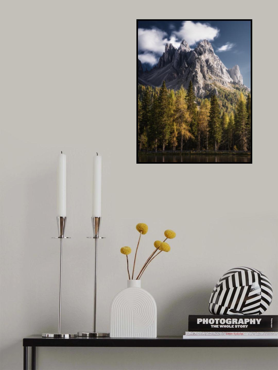 Contrast Poster och Canvastavla