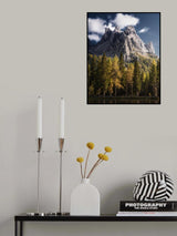 Contrast Poster och Canvastavla