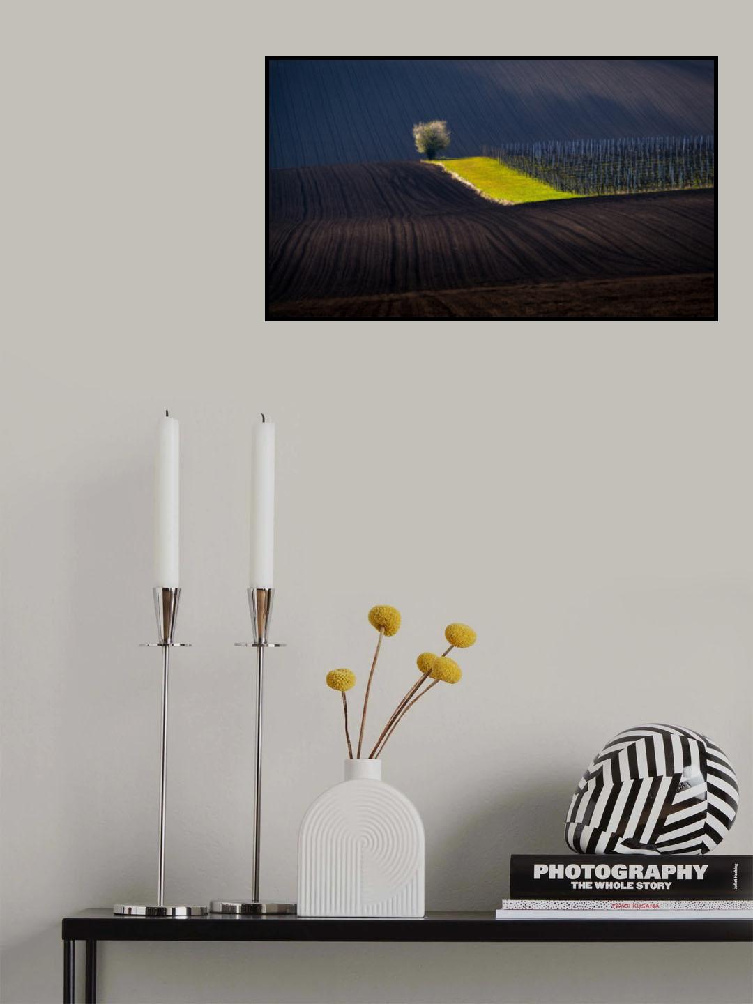 Vrbický vineyard Poster och Canvastavla