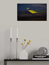 Vrbický vineyard Poster och Canvastavla