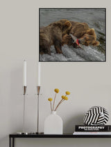 Snatch fish Poster och Canvastavla