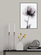 X Ray 1 Poster och Canvastavla