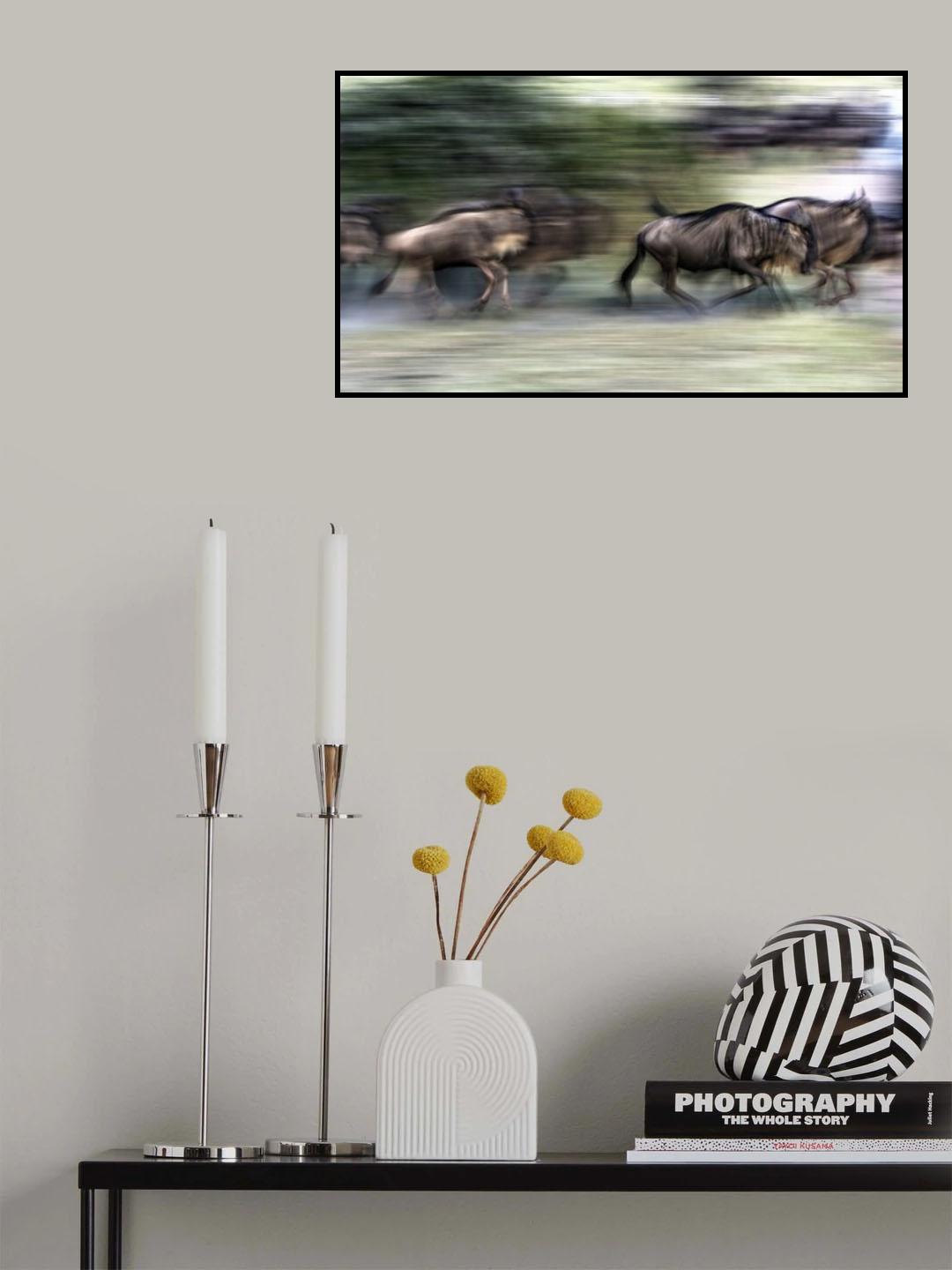 Great migration Poster och Canvastavla