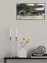 Great migration Poster och Canvastavla