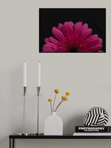 beautiful flower Poster och Canvastavla