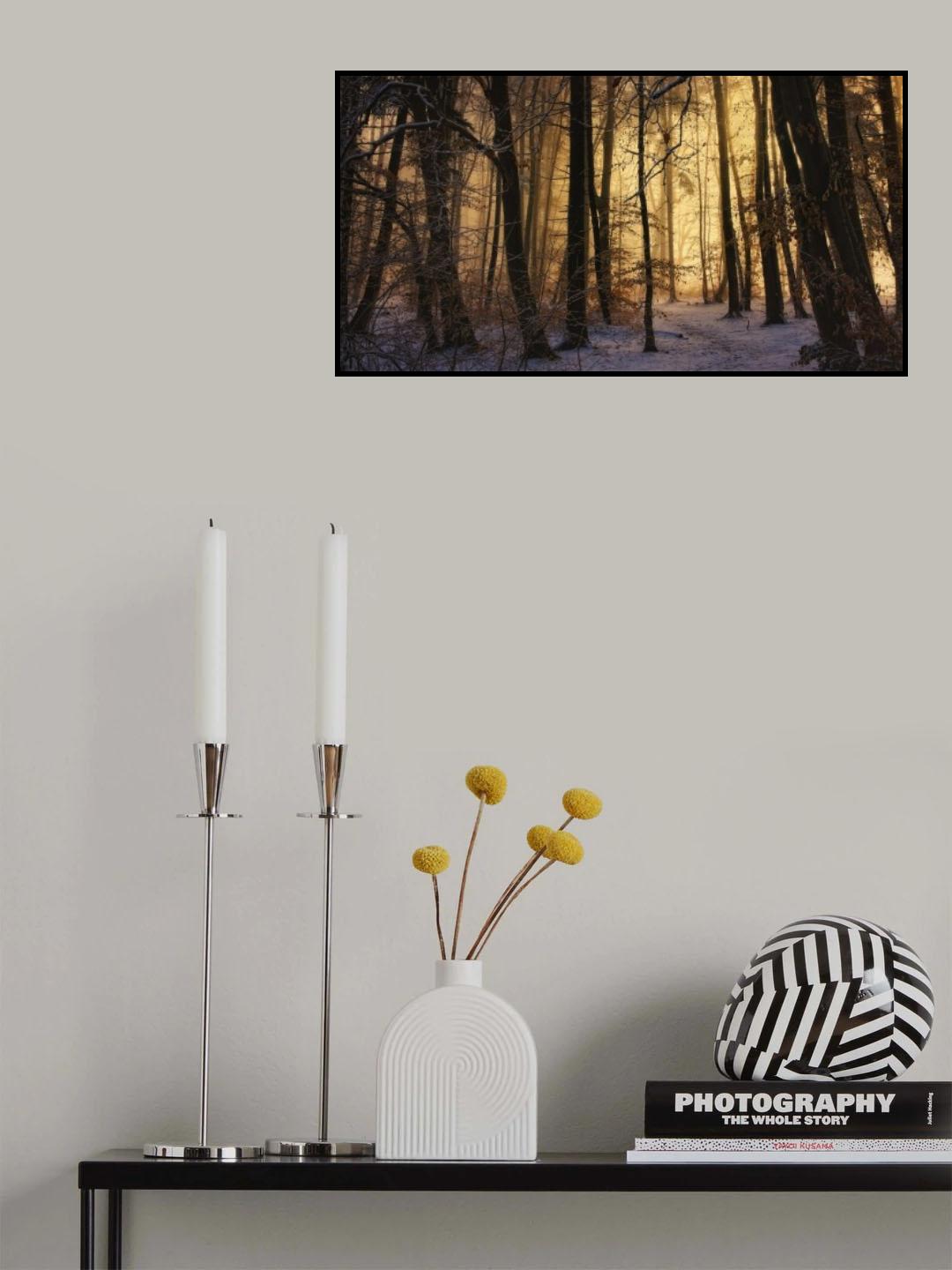 first snow Poster och Canvastavla