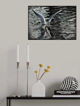 Icarus Poster och Canvastavla