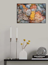 Autumn branches Poster och Canvastavla