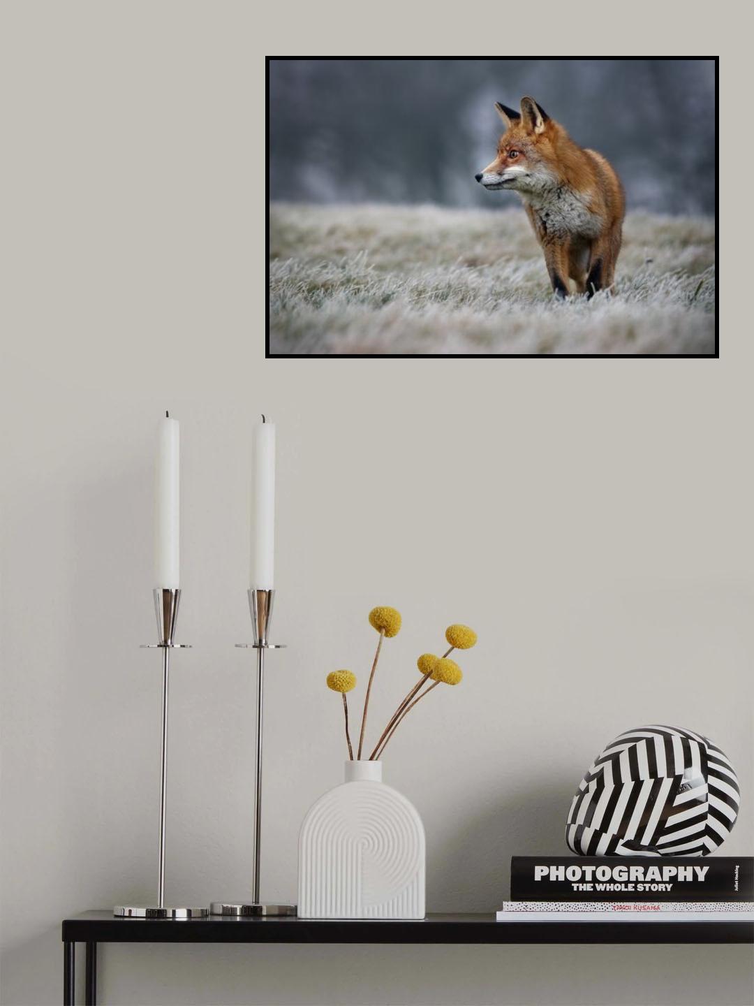 Frosty morning Poster och Canvastavla