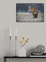 Frosty morning Poster och Canvastavla