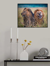 Brotherly Humor Poster och Canvastavla