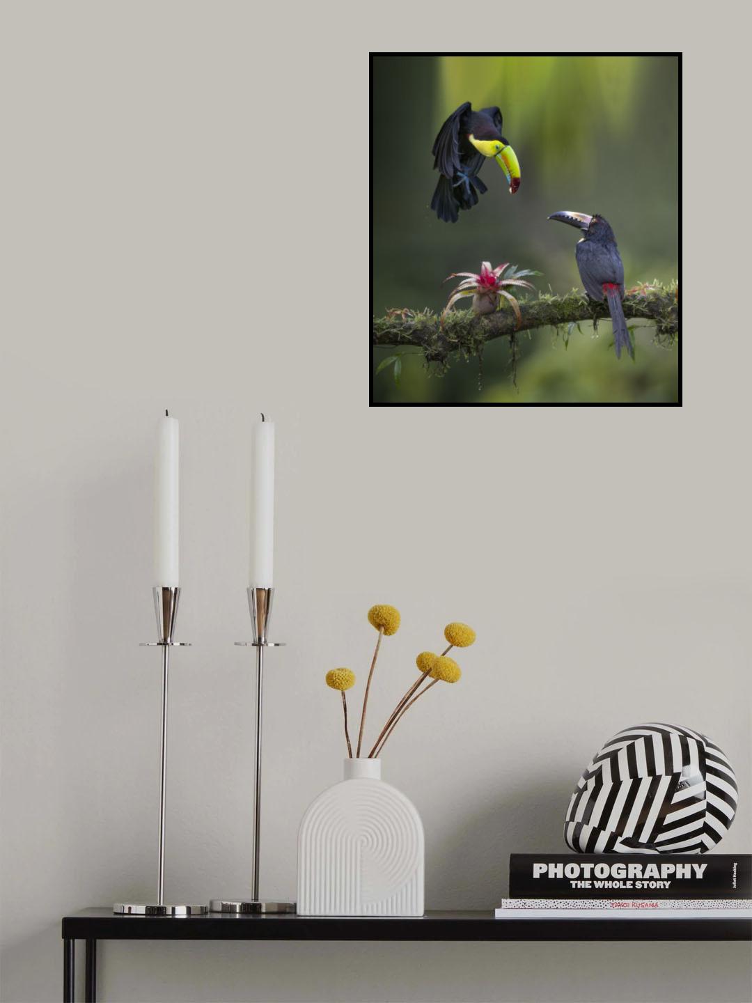 Whats Up ? Poster och Canvastavla