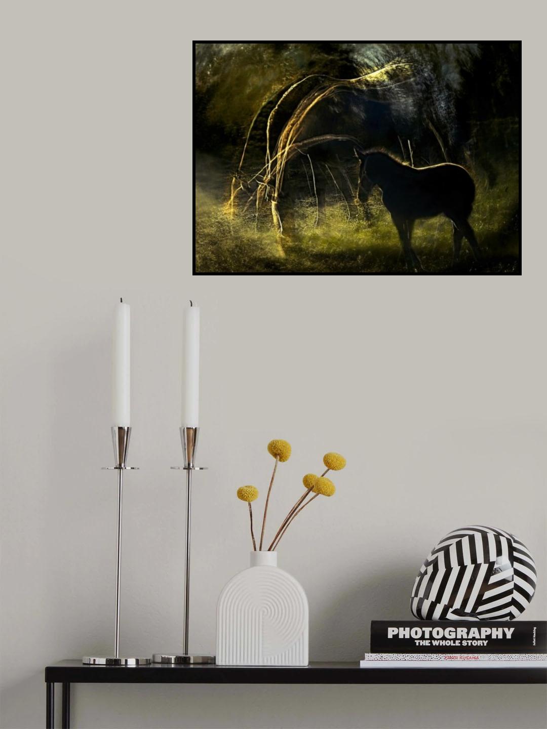Auroral kontour Poster och Canvastavla
