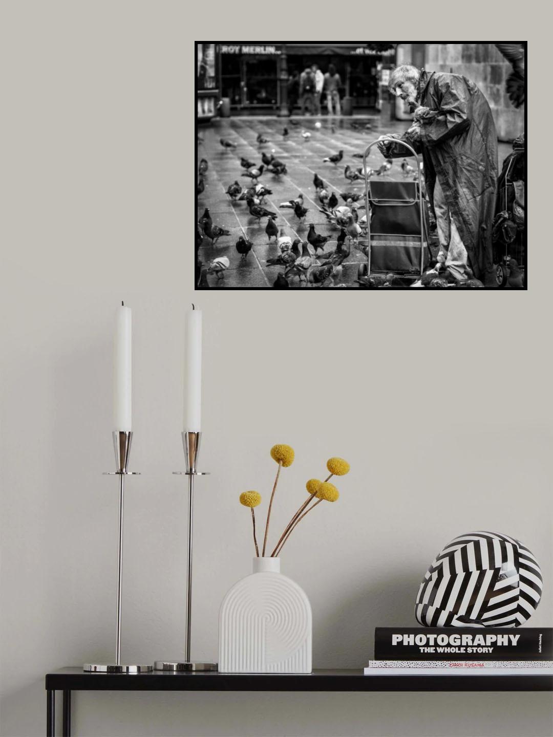 The pigeon man Poster och Canvastavla