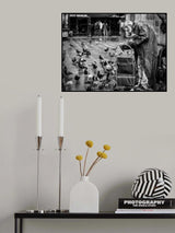 The pigeon man Poster och Canvastavla