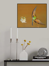Bee-eater.. Poster och Canvastavla