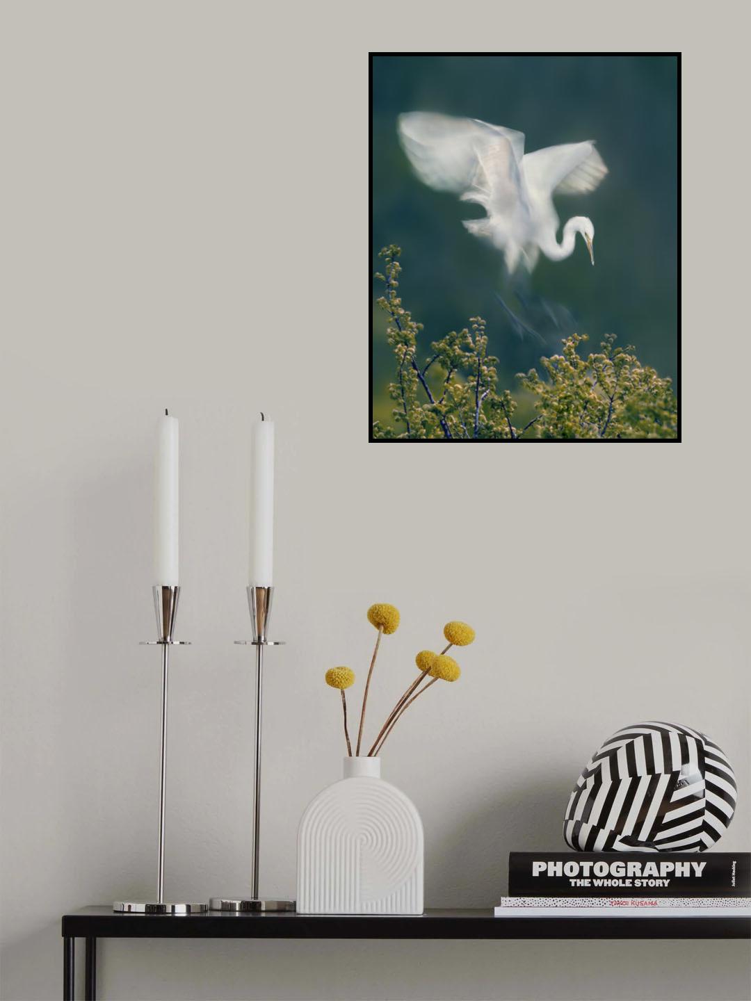 Slow Motion  Landing Poster och Canvastavla