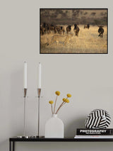 On the Hunt Poster och Canvastavla