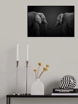 T I T A N S Poster och Canvastavla