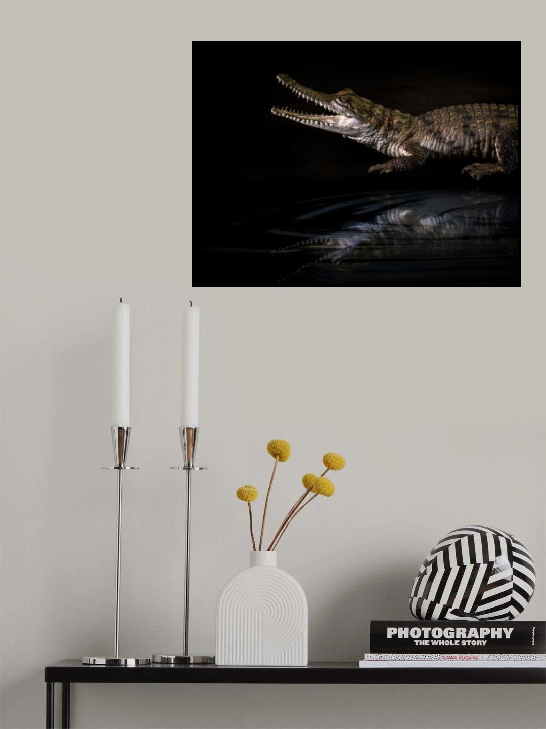Baby Crocodile Poster och Canvastavla