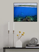explorers Poster och Canvastavla