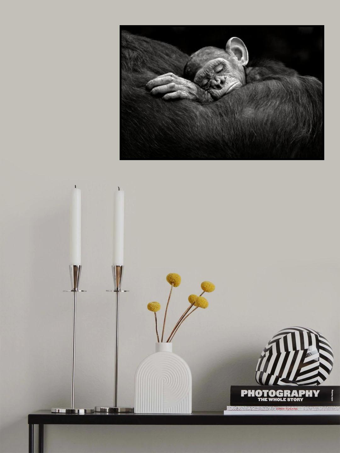 Sleeping infant Poster och Canvastavla