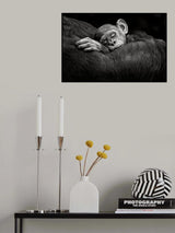 Sleeping infant Poster och Canvastavla