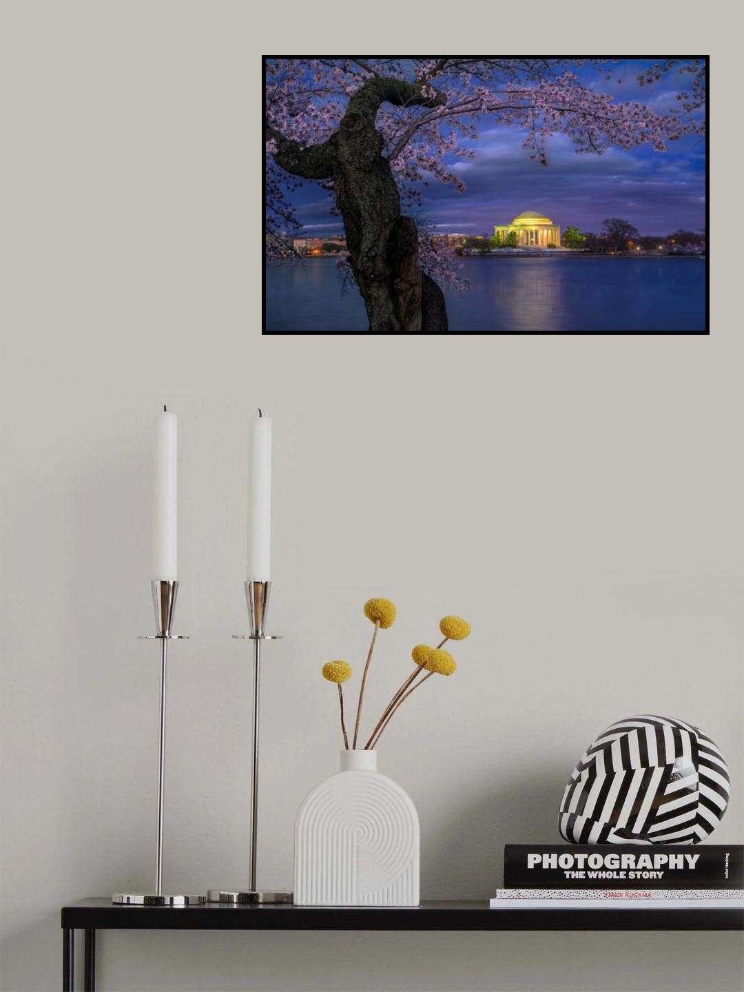 Cherry blossoms around the Jefferson Memorial Poster och Canvastavla