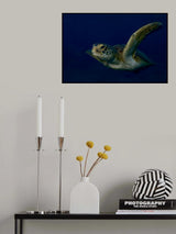Seaplane Poster och Canvastavla