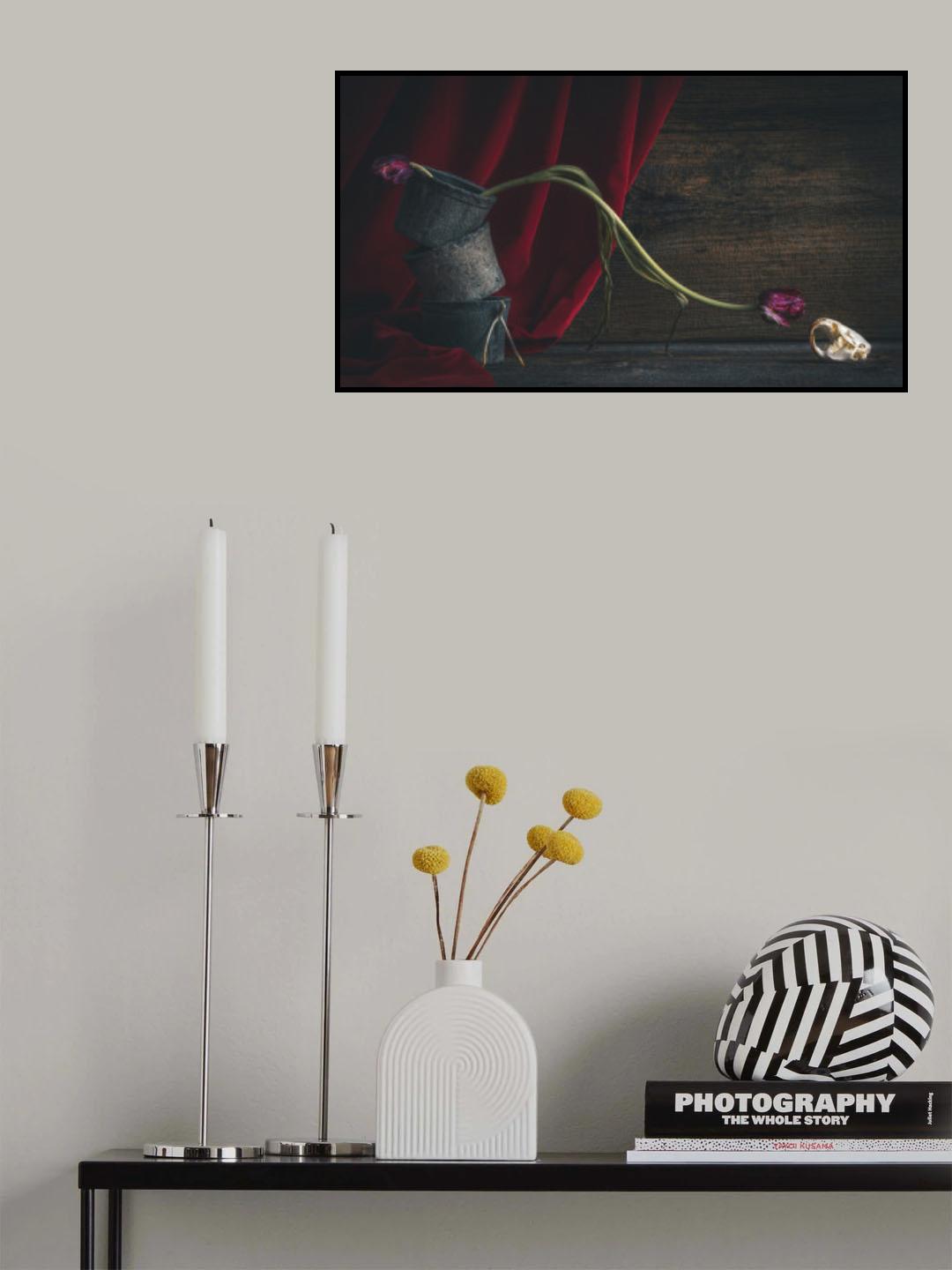 Tulip and Possum Poster och Canvastavla