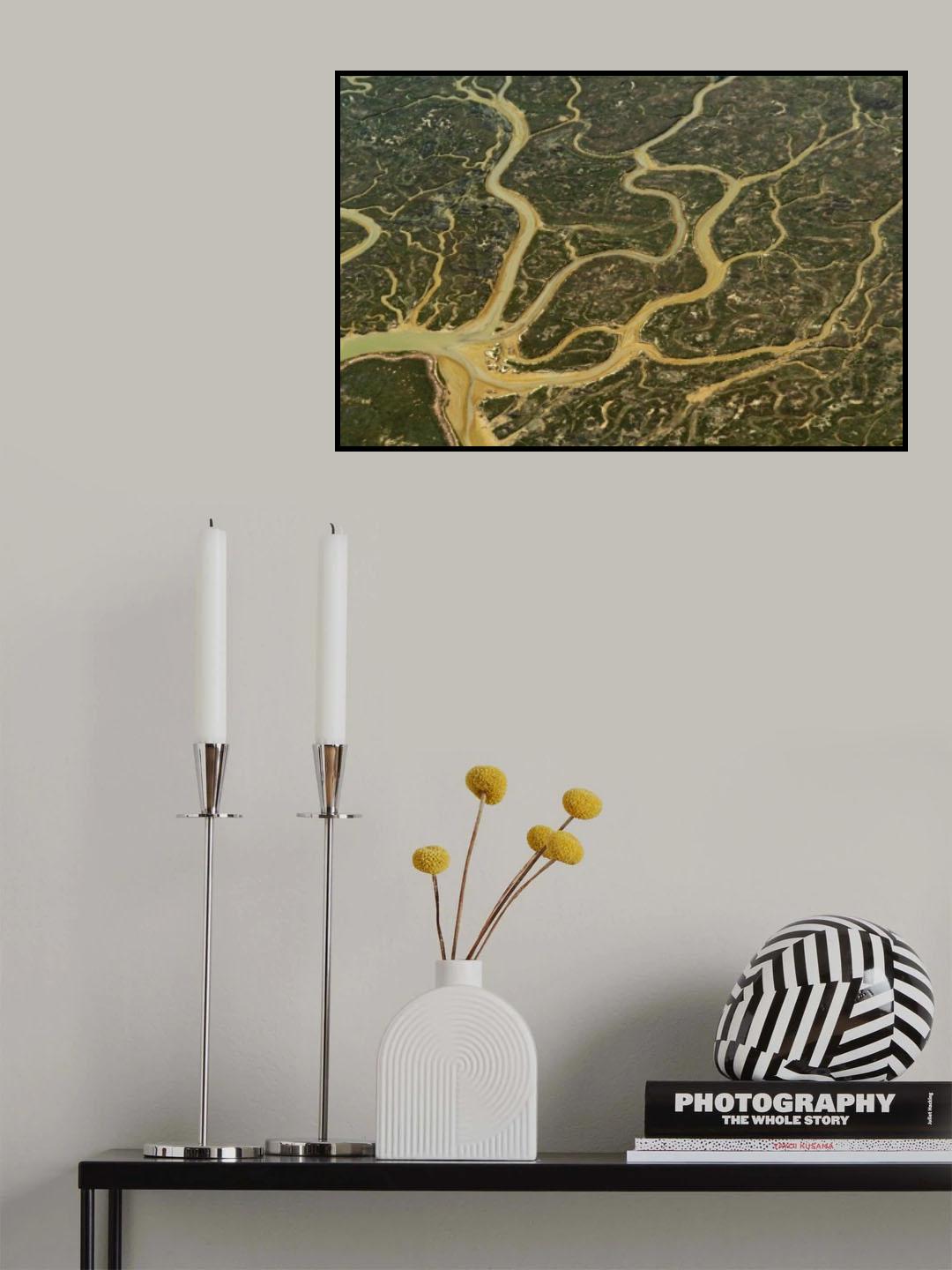 Capillaries Poster och Canvastavla