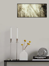 Fog Poster och Canvastavla