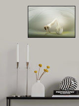 Cocoon III Poster och Canvastavla