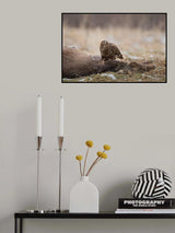 The big prey Poster och Canvastavla