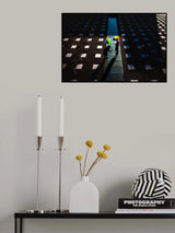 Balloons in the shadow Poster och Canvastavla